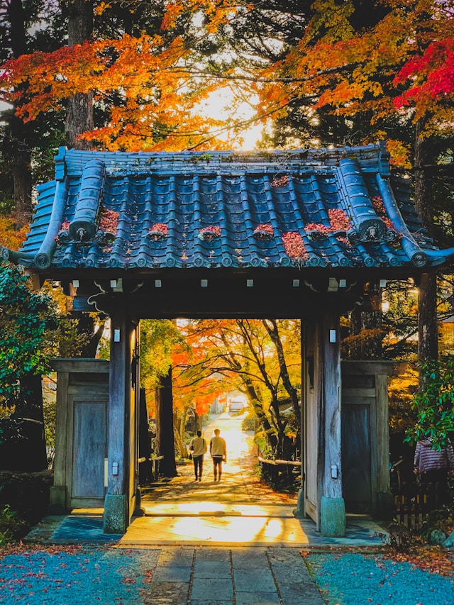 日本　秋　